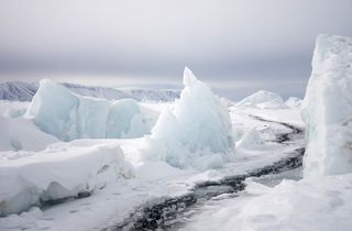 Leben in der Kälte – Der Arktische Ozean