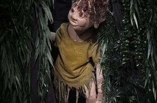 Muggli, dr Waldtroll