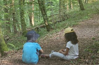 Waldbaden für Familien