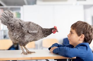 Tiertrainer für einen Tag – Der tierische Kindergeburtstag mit Filmflair!