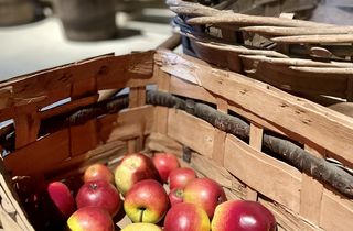 Vom Apfel zum Saft