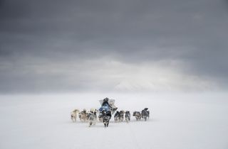 Arktis-Tag. Ein cooler Familiensonntag rund um die Arktis